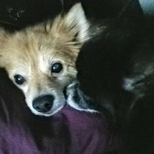 Meet your Posher, Tina